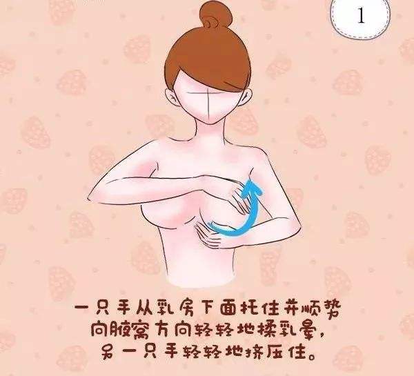 金牌月嫂教产妇护理胸部,防止产后乳房下垂